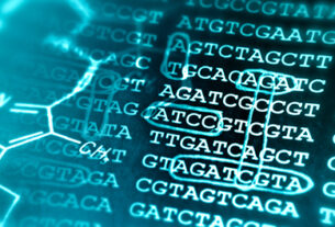 Bioinformatics