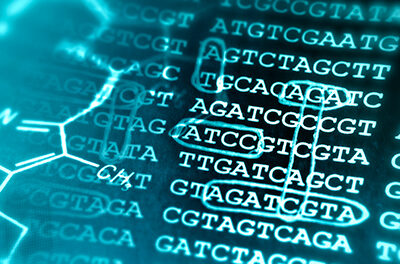 Bioinformatics